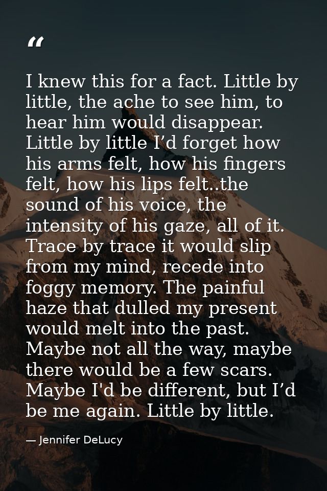 I knew this for a fact. Little by little, the ache to see him, to hear him would disappear. Little by little I’d forget  — Jennifer DeLucy
