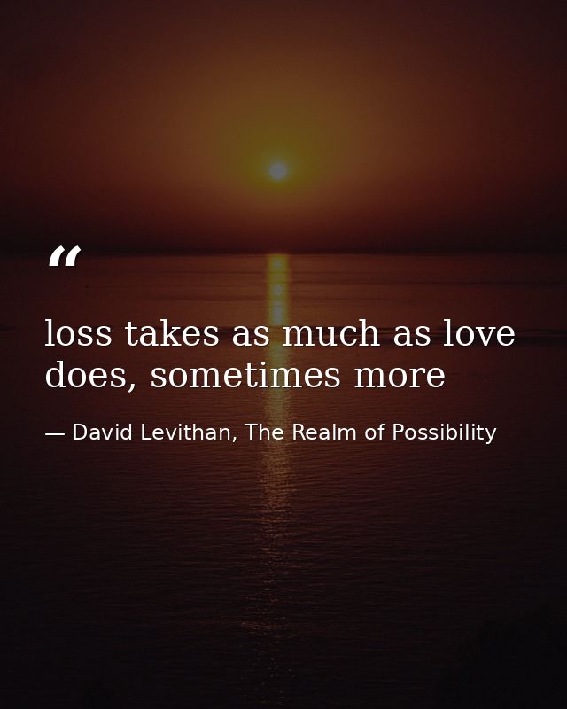 loss takes as much as love does, sometimes more — David Levithan, The Realm of Possibility