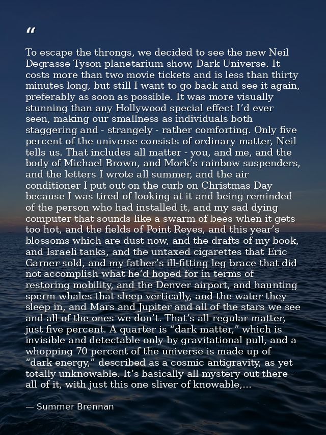 To escape the throngs, we decided to see the new Neil Degrasse Tyson planetarium show, Dark Universe. It costs more than — Summer Brennan