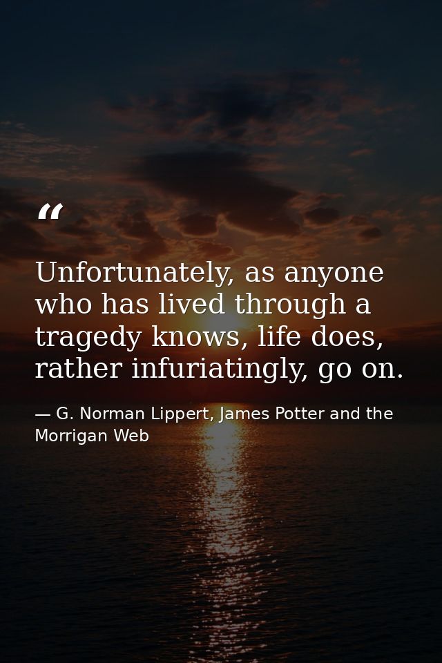Unfortunately, as anyone who has lived through a tragedy knows, life does, rather infuriatingly, go on. — G. Norman Lippert, James Potter and the Morrigan Web