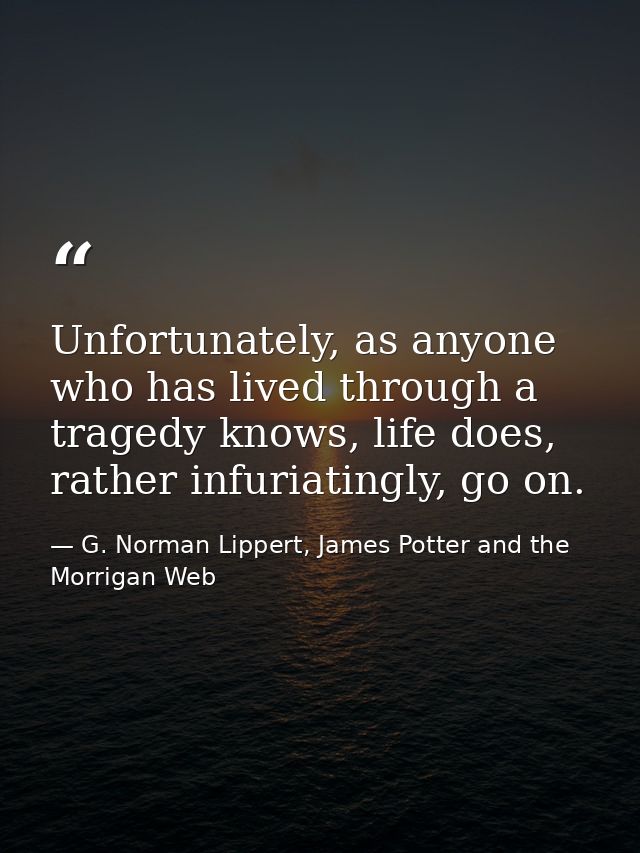 Unfortunately, as anyone who has lived through a tragedy knows, life does, rather infuriatingly, go on. — G. Norman Lippert, James Potter and the Morrigan Web