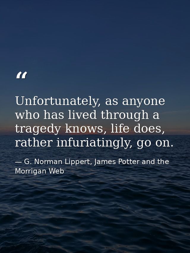 Unfortunately, as anyone who has lived through a tragedy knows, life does, rather infuriatingly, go on. — G. Norman Lippert, James Potter and the Morrigan Web