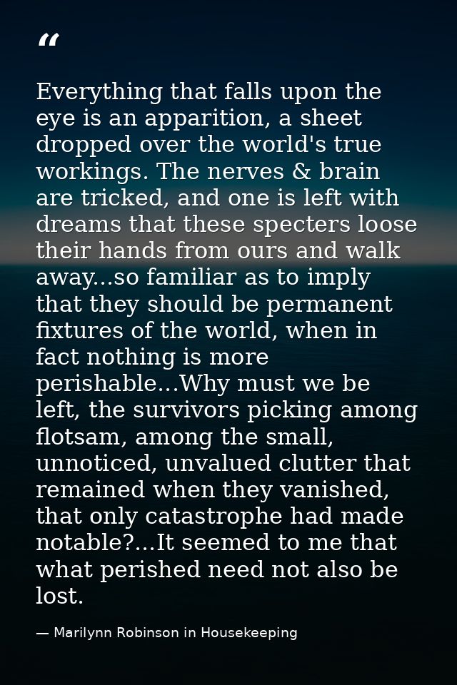 Everything that falls upon the eye is an apparition, a sheet dropped over the world's true workings. The nerves & brain  — Marilynn Robinson in Housekeeping