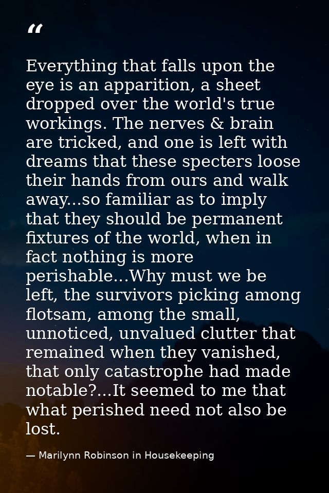 Everything that falls upon the eye is an apparition, a sheet dropped over the world's true workings. The nerves & brain  — Marilynn Robinson in Housekeeping