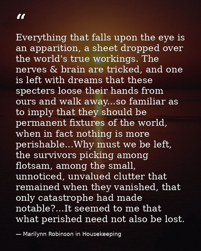 Everything that falls upon the eye is an apparition, a sheet dropped over the world's true workings. The nerves & brain  — Marilynn Robinson in Housekeeping
