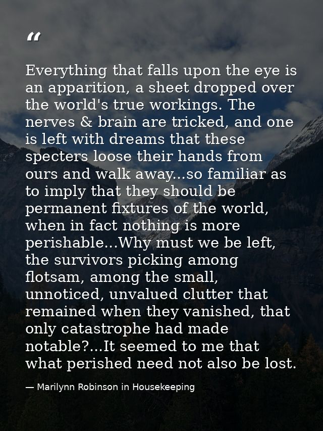 Everything that falls upon the eye is an apparition, a sheet dropped over the world's true workings. The nerves & brain  — Marilynn Robinson in Housekeeping
