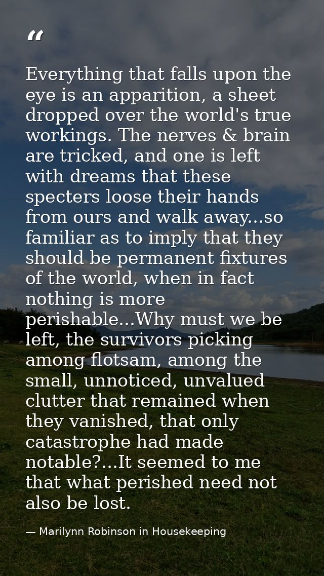 Everything that falls upon the eye is an apparition, a sheet dropped over the world's true workings. The nerves & brain  — Marilynn Robinson in Housekeeping