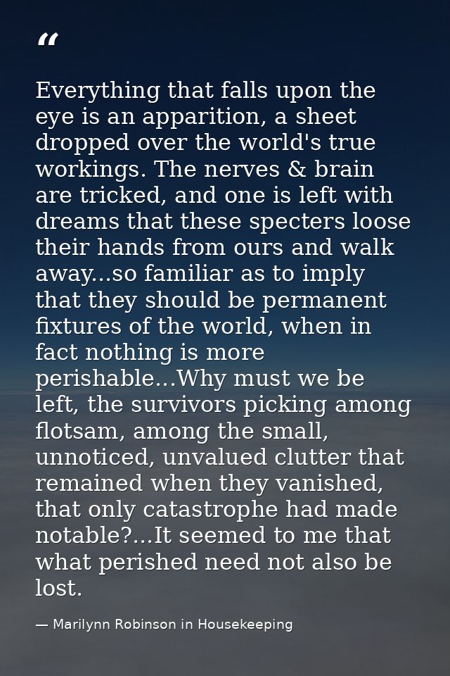Everything that falls upon the eye is an apparition, a sheet dropped over the world's true workings. The nerves & brain  — Marilynn Robinson in Housekeeping