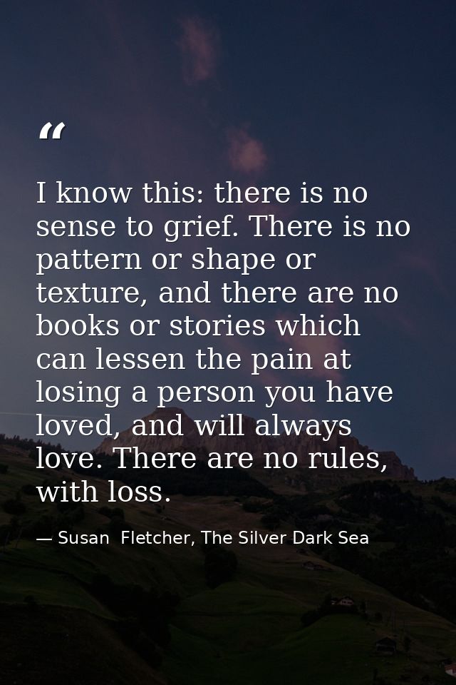 I know this: there is no sense to grief. There is no pattern or shape or texture, and there are no books or stories whic — Susan  Fletcher, The Silver Dark Sea