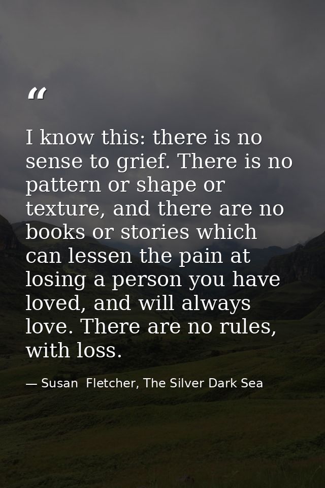 I know this: there is no sense to grief. There is no pattern or shape or texture, and there are no books or stories whic — Susan  Fletcher, The Silver Dark Sea