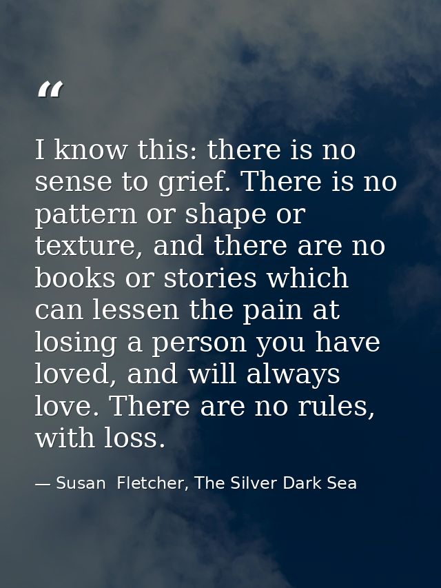 I know this: there is no sense to grief. There is no pattern or shape or texture, and there are no books or stories whic — Susan  Fletcher, The Silver Dark Sea