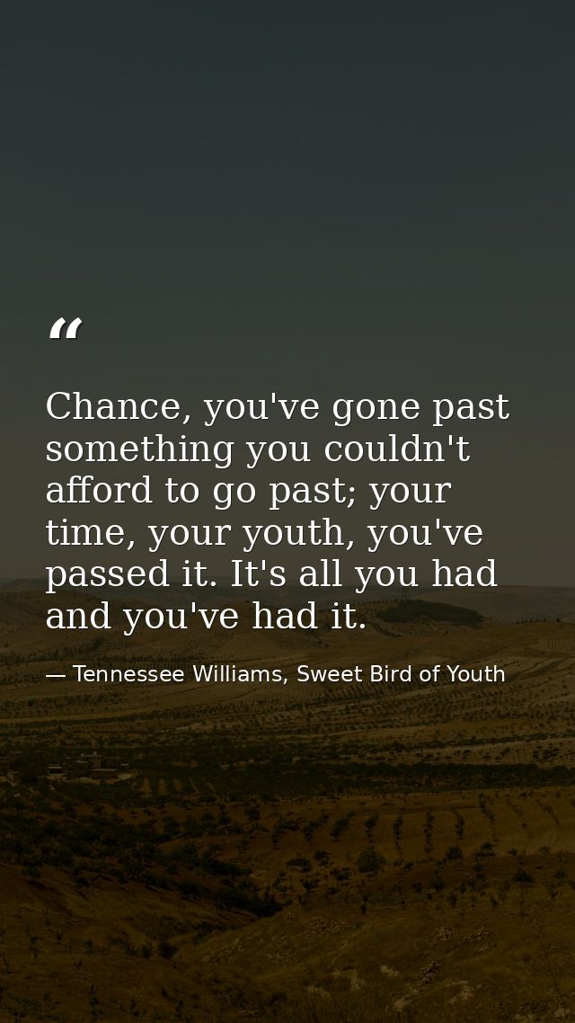 Chance, you've gone past something you couldn't afford to go past; your time, your youth, you've passed it. It's all you — Tennessee Williams, Sweet Bird of Youth
