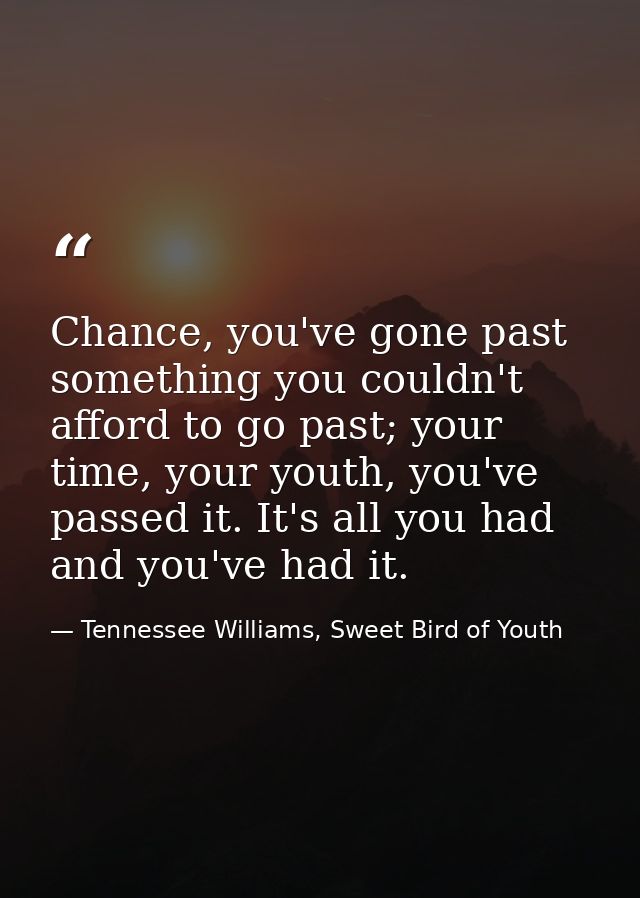 Chance, you've gone past something you couldn't afford to go past; your time, your youth, you've passed it. It's all you — Tennessee Williams, Sweet Bird of Youth