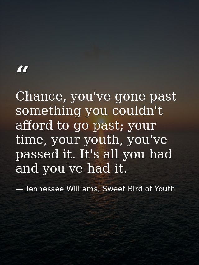 Chance, you've gone past something you couldn't afford to go past; your time, your youth, you've passed it. It's all you — Tennessee Williams, Sweet Bird of Youth