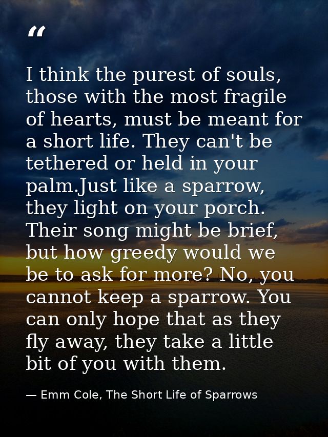 I think the purest of souls, those with the most fragile of hearts, must be meant for a short life. They can't be tether — Emm Cole, The Short Life of Sparrows