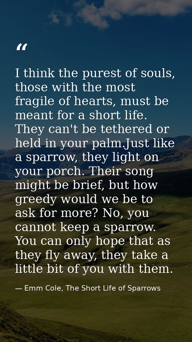 I think the purest of souls, those with the most fragile of hearts, must be meant for a short life. They can't be tether — Emm Cole, The Short Life of Sparrows