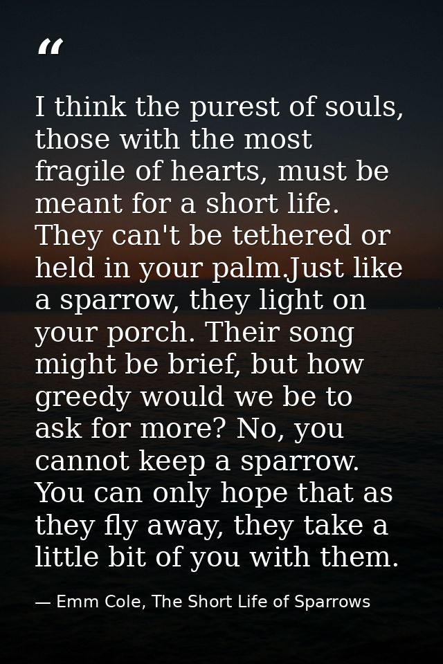 I think the purest of souls, those with the most fragile of hearts, must be meant for a short life. They can't be tether — Emm Cole, The Short Life of Sparrows
