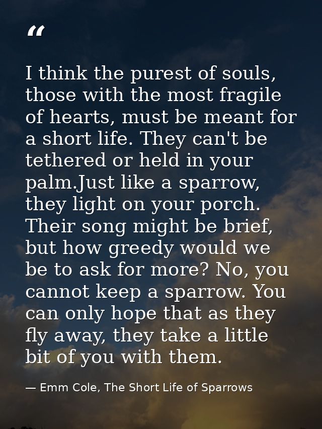 I think the purest of souls, those with the most fragile of hearts, must be meant for a short life. They can't be tether — Emm Cole, The Short Life of Sparrows