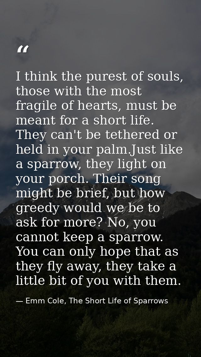 I think the purest of souls, those with the most fragile of hearts, must be meant for a short life. They can't be tether — Emm Cole, The Short Life of Sparrows