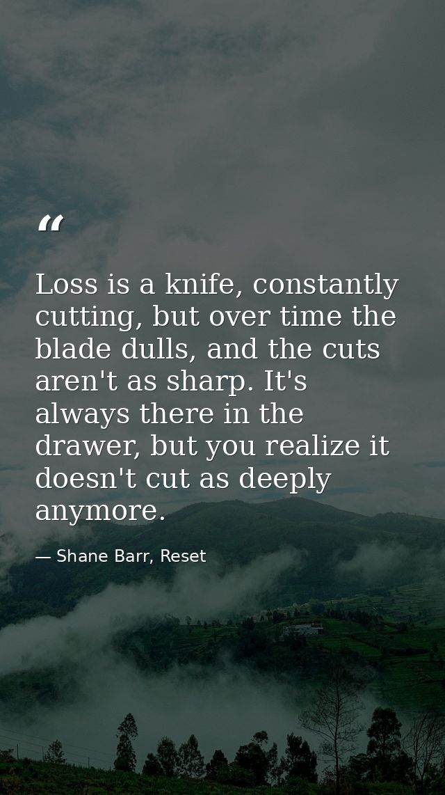 Loss is a knife, constantly cutting, but over time the blade dulls, and the cuts aren't as sharp. It's always there in t — Shane Barr, Reset