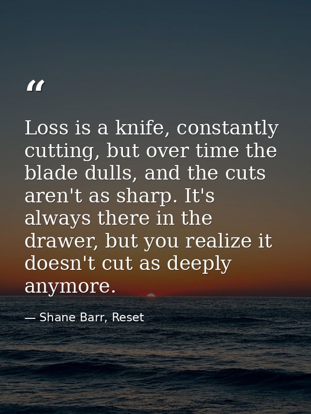 Loss is a knife, constantly cutting, but over time the blade dulls, and the cuts aren't as sharp. It's always there in t — Shane Barr, Reset