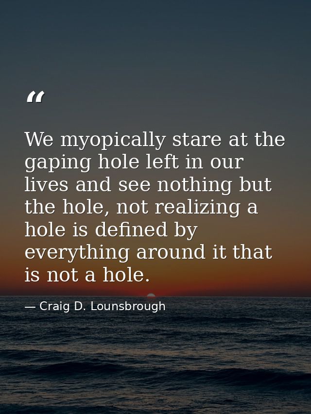 We myopically stare at the gaping hole left in our lives and see nothing but the hole, not realizing a hole is defined b — Craig D. Lounsbrough