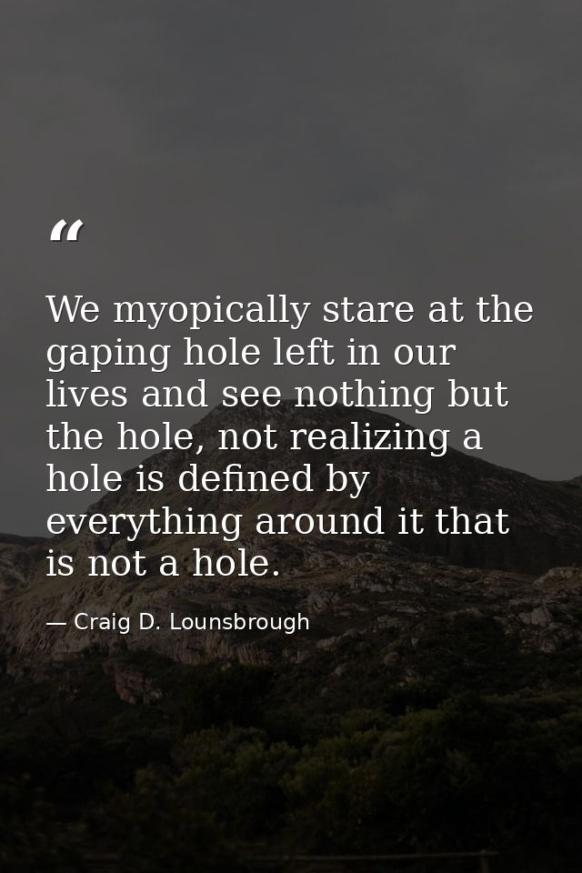 We myopically stare at the gaping hole left in our lives and see nothing but the hole, not realizing a hole is defined b — Craig D. Lounsbrough
