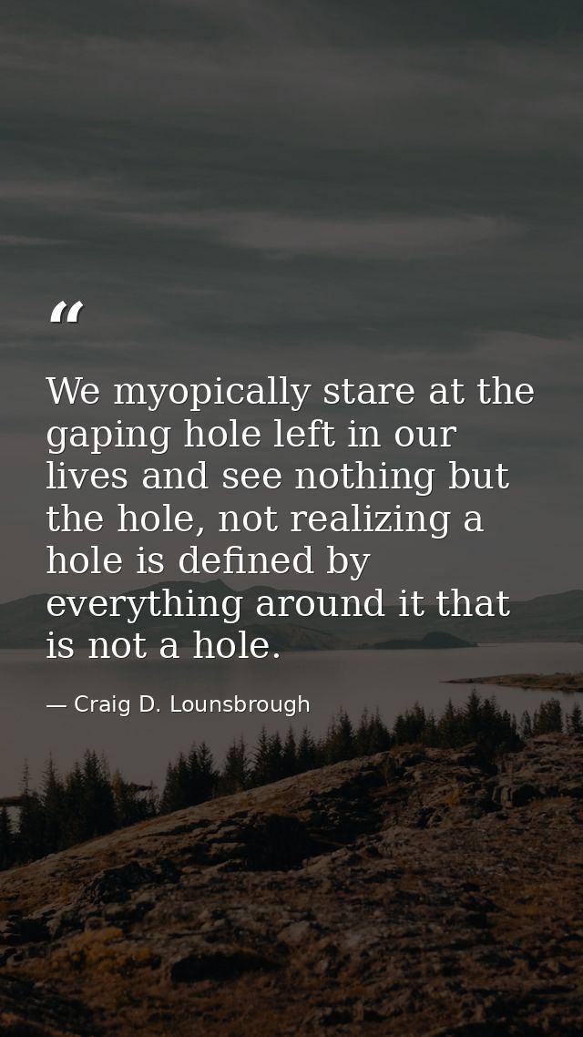 We myopically stare at the gaping hole left in our lives and see nothing but the hole, not realizing a hole is defined b — Craig D. Lounsbrough