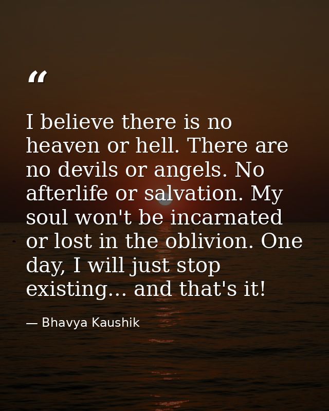 I believe there is no heaven or hell. There are no devils or angels. No afterlife or salvation. My soul won't be incarna — Bhavya Kaushik
