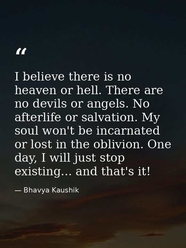 I believe there is no heaven or hell. There are no devils or angels. No afterlife or salvation. My soul won't be incarna — Bhavya Kaushik