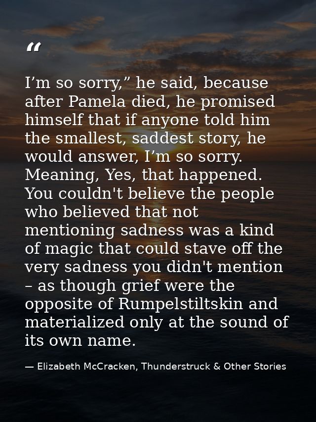 I’m so sorry,” he said, because after Pamela died, he promised himself that if anyone told him the smallest, saddest sto — Elizabeth McCracken, Thunderstruck & Other Stories