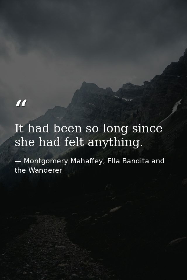 It had been so long since she had felt anything. — Montgomery Mahaffey, Ella Bandita and the Wanderer