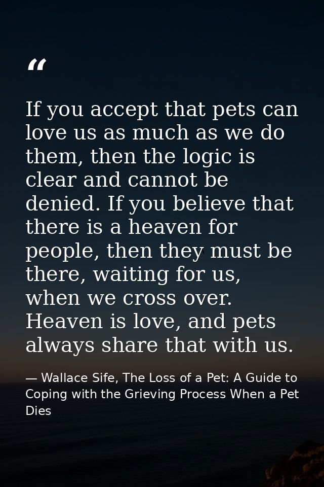 If you accept that pets can love us as much as we do them, then the logic is clear and cannot be denied. If you believe  — Wallace Sife, The Loss of a Pet: A Guide to Coping with the Grieving Process When a Pet Dies