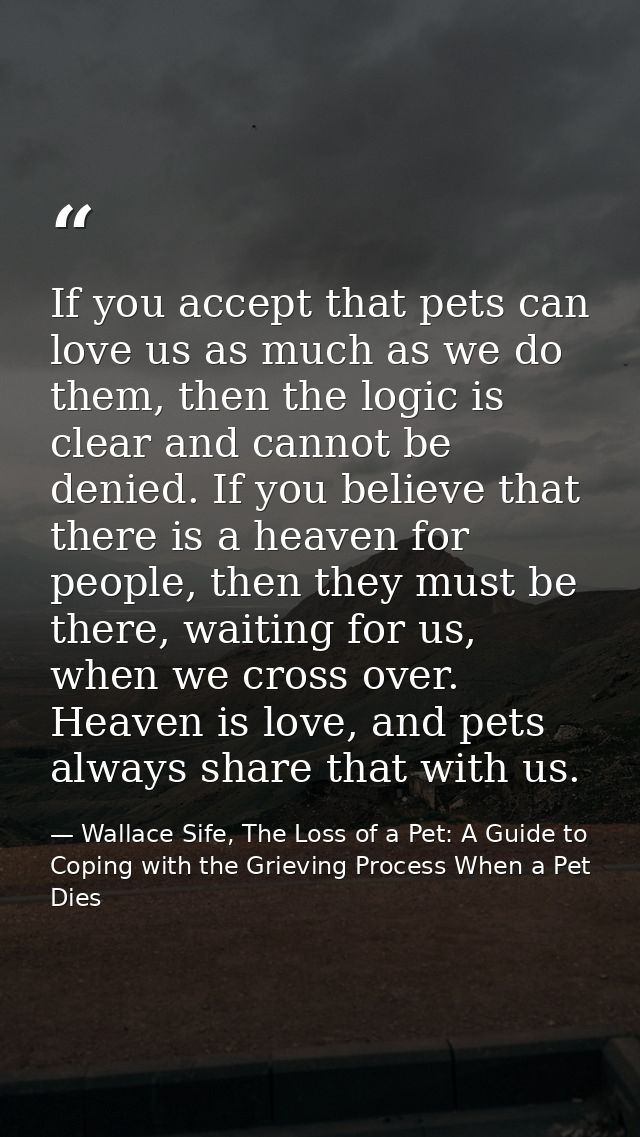 If you accept that pets can love us as much as we do them, then the logic is clear and cannot be denied. If you believe  — Wallace Sife, The Loss of a Pet: A Guide to Coping with the Grieving Process When a Pet Dies