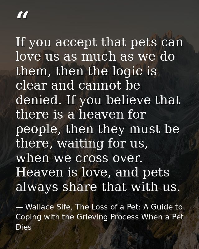 If you accept that pets can love us as much as we do them, then the logic is clear and cannot be denied. If you believe  — Wallace Sife, The Loss of a Pet: A Guide to Coping with the Grieving Process When a Pet Dies