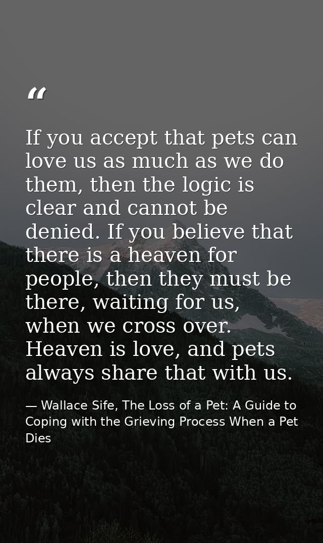 If you accept that pets can love us as much as we do them, then the logic is clear and cannot be denied. If you believe  — Wallace Sife, The Loss of a Pet: A Guide to Coping with the Grieving Process When a Pet Dies