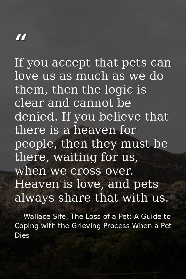 If you accept that pets can love us as much as we do them, then the logic is clear and cannot be denied. If you believe  — Wallace Sife, The Loss of a Pet: A Guide to Coping with the Grieving Process When a Pet Dies