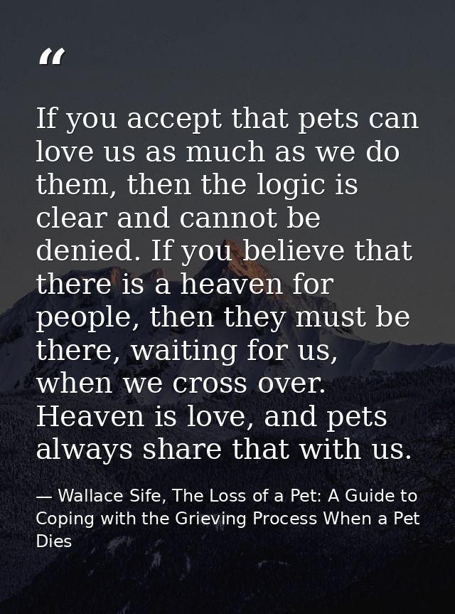 If you accept that pets can love us as much as we do them, then the logic is clear and cannot be denied. If you believe  — Wallace Sife, The Loss of a Pet: A Guide to Coping with the Grieving Process When a Pet Dies