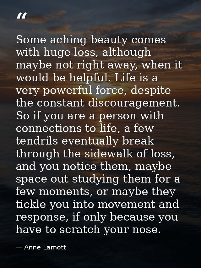 Some aching beauty comes with huge loss, although maybe not right away, when it would be helpful. Life is a very powerfu — Anne Lamott