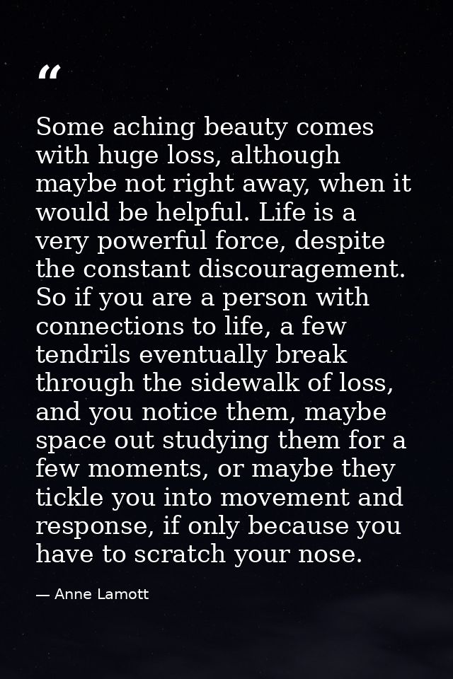 Some aching beauty comes with huge loss, although maybe not right away, when it would be helpful. Life is a very powerfu — Anne Lamott