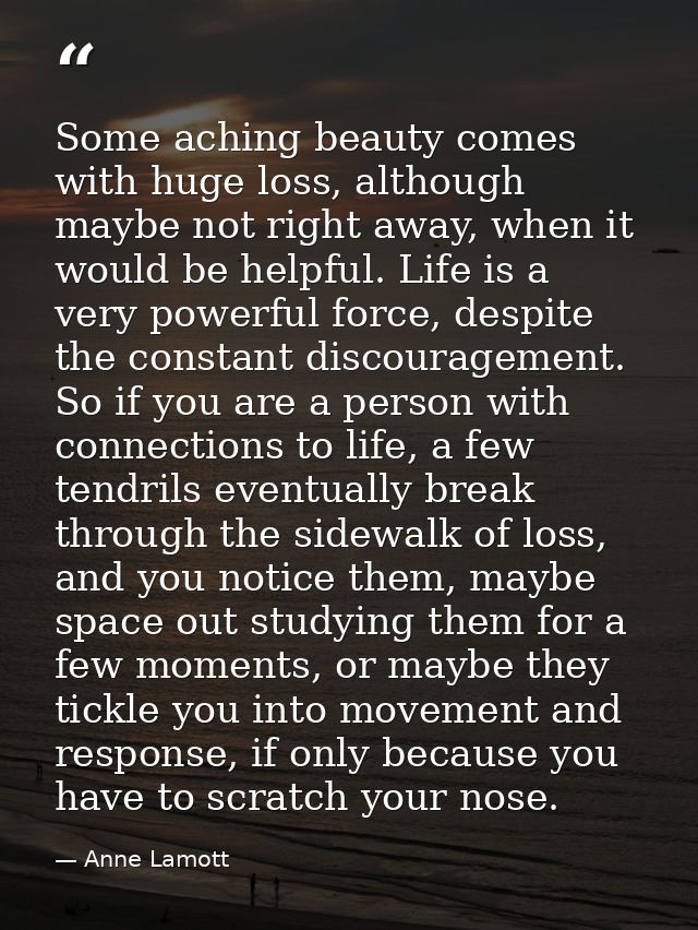 Some aching beauty comes with huge loss, although maybe not right away, when it would be helpful. Life is a very powerfu — Anne Lamott