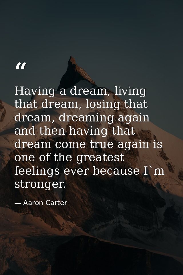 Having a dream, living that dream, losing that dream, dreaming again and then having that dream come true again is one o — Aaron Carter