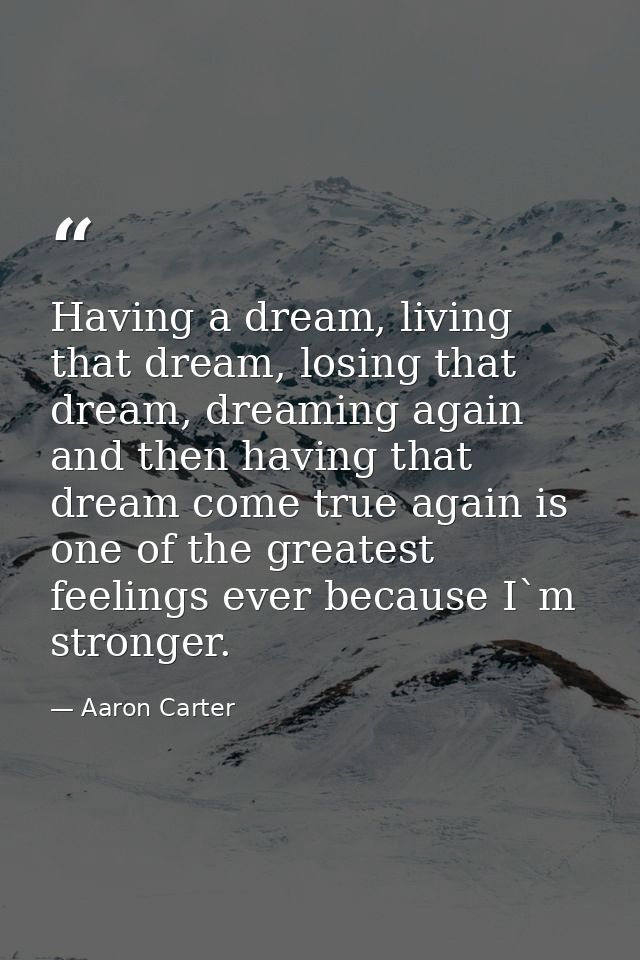 Having a dream, living that dream, losing that dream, dreaming again and then having that dream come true again is one o — Aaron Carter