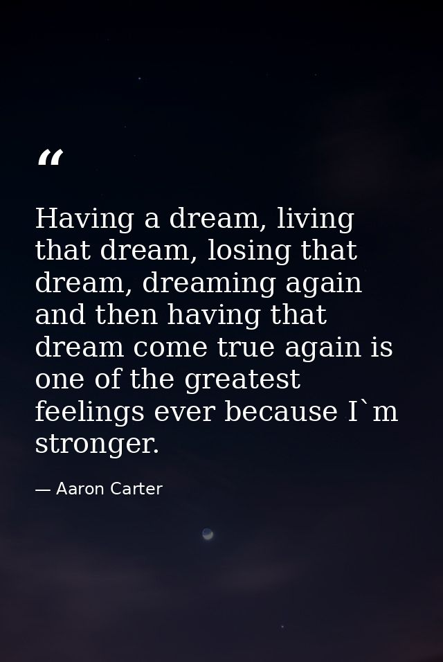 Having a dream, living that dream, losing that dream, dreaming again and then having that dream come true again is one o — Aaron Carter
