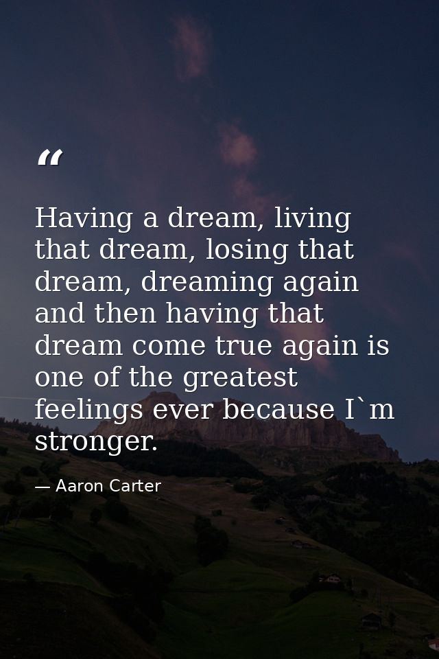 Having a dream, living that dream, losing that dream, dreaming again and then having that dream come true again is one o — Aaron Carter