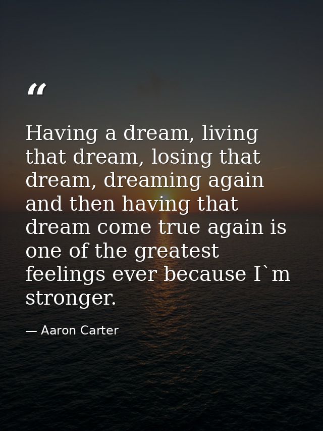 Having a dream, living that dream, losing that dream, dreaming again and then having that dream come true again is one o — Aaron Carter