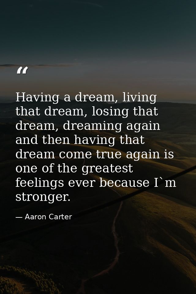 Having a dream, living that dream, losing that dream, dreaming again and then having that dream come true again is one o — Aaron Carter