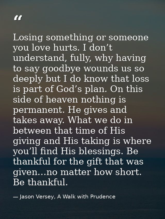 Losing something or someone you love hurts. I don’t understand, fully, why having to say goodbye wounds us so deeply but — Jason Versey, A Walk with Prudence
