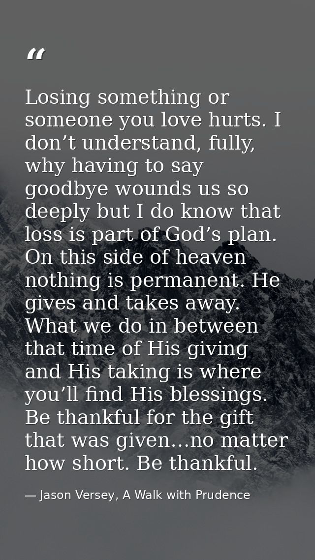 Losing something or someone you love hurts. I don’t understand, fully, why having to say goodbye wounds us so deeply but — Jason Versey, A Walk with Prudence