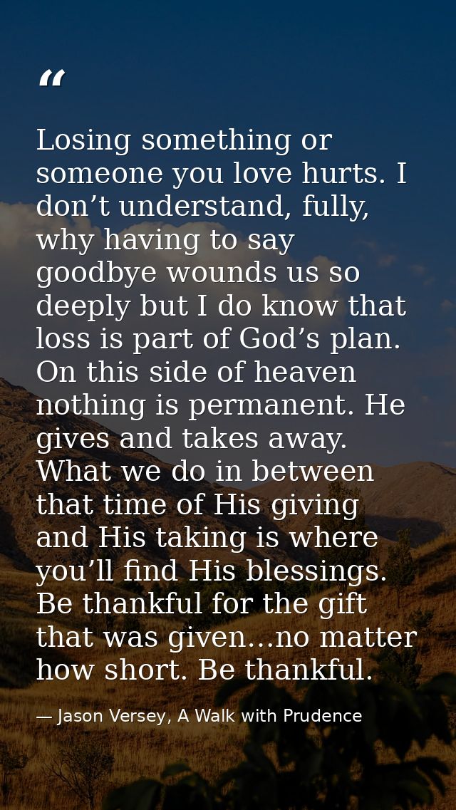 Losing something or someone you love hurts. I don’t understand, fully, why having to say goodbye wounds us so deeply but — Jason Versey, A Walk with Prudence
